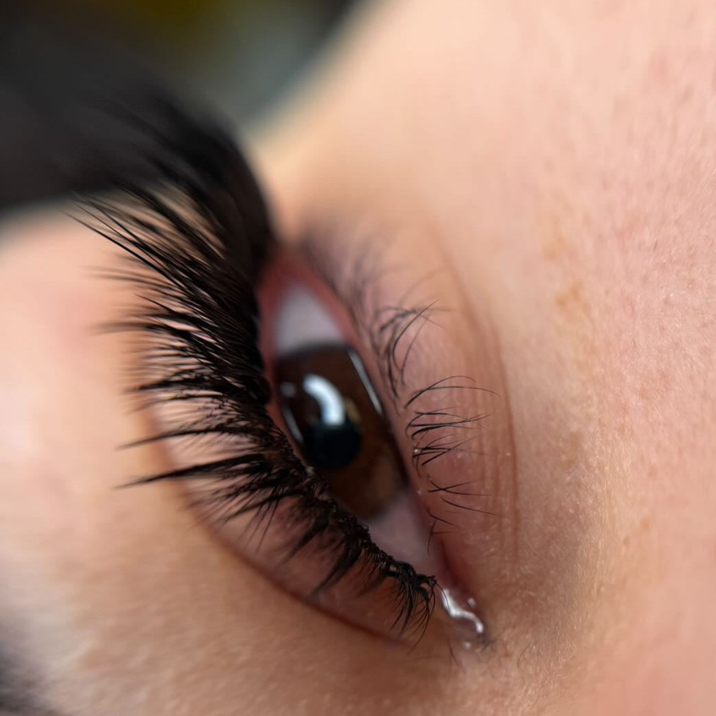 Black Lashes C Curl - Single