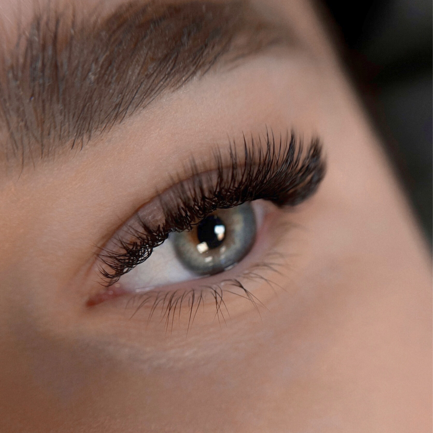 Black Lashes D Curl - Single
